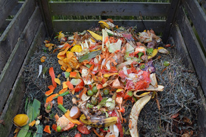 Composting for eco friendly organic sustainable garden