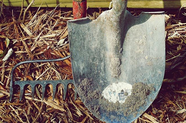A shovel is one of the most used gardening tools shovels are used to turn and move soil