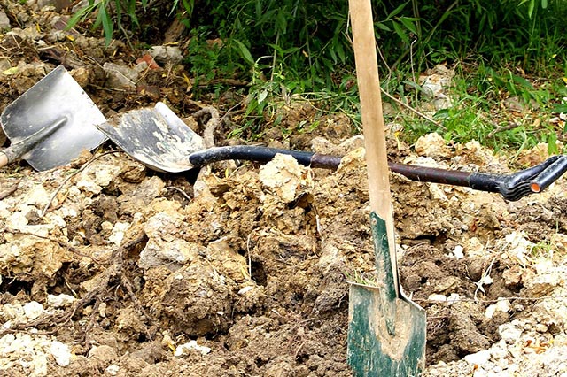 Spades are similar to shovels and used to cut through soil and roots