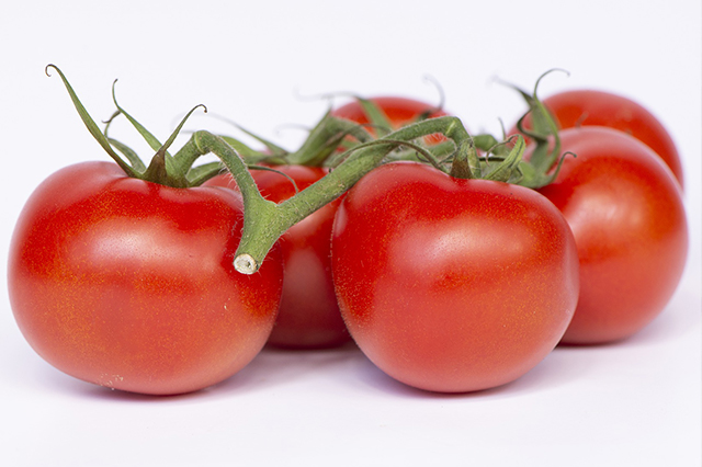 How to grow tomatoes indoors and harvest all year