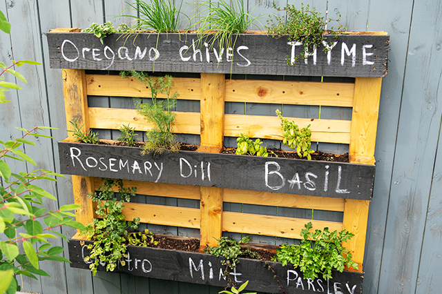 Herbs are a nice addition to a customized hanging garden