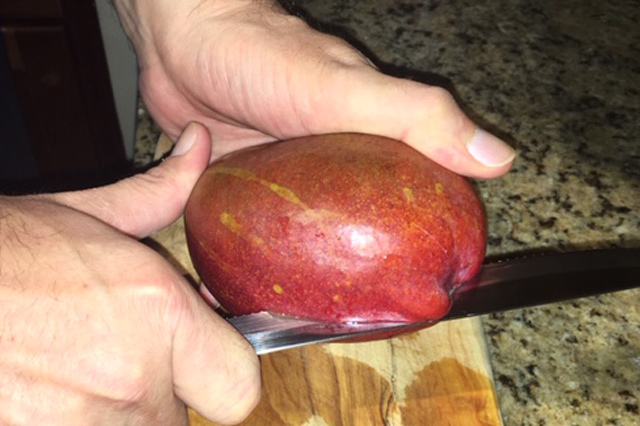 Cutting mango open to remove seed pod